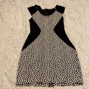 Express Cute cocktail dress